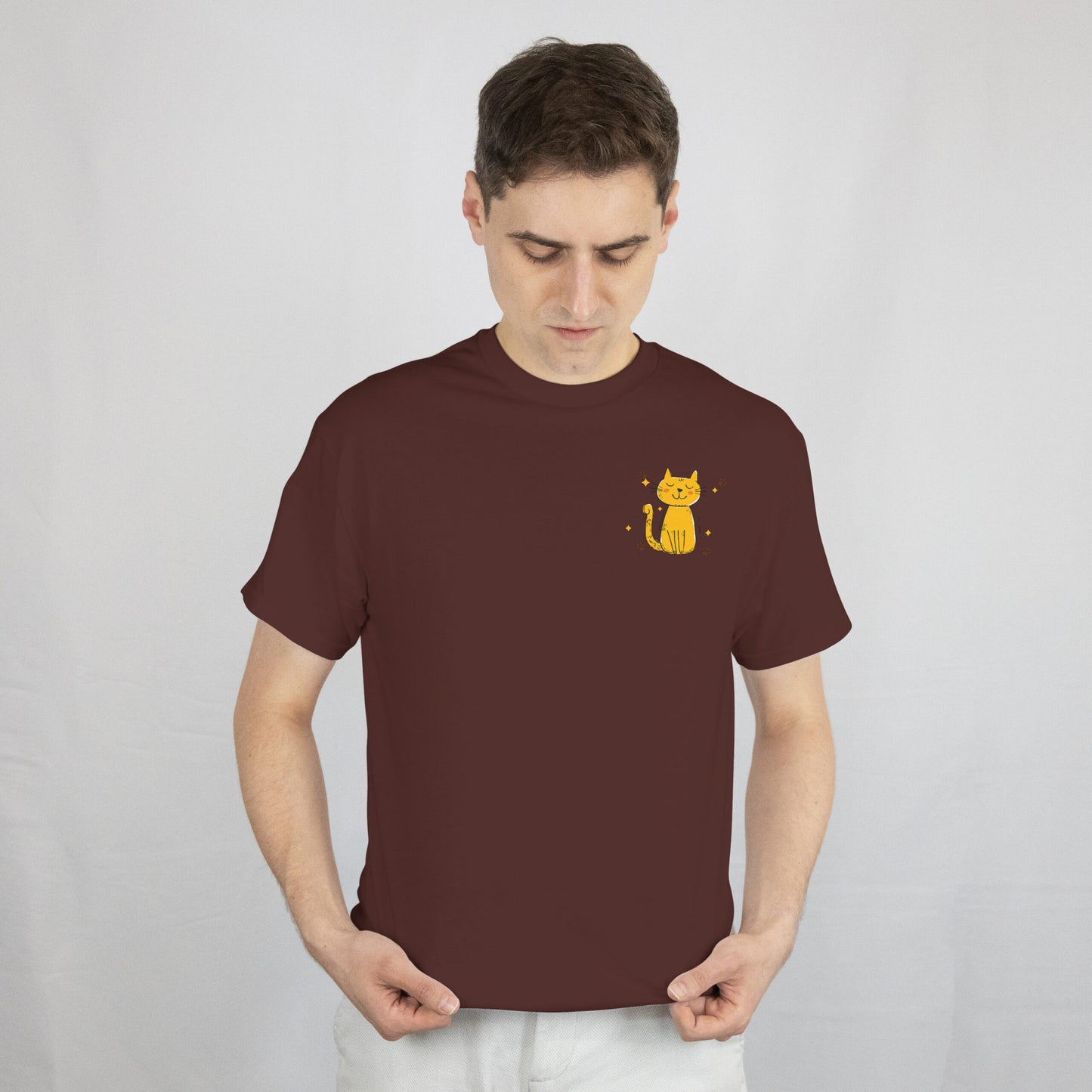 Smelly Cat (It’s Not Your Fault)- Oversized Drop Shoulder T-shirt